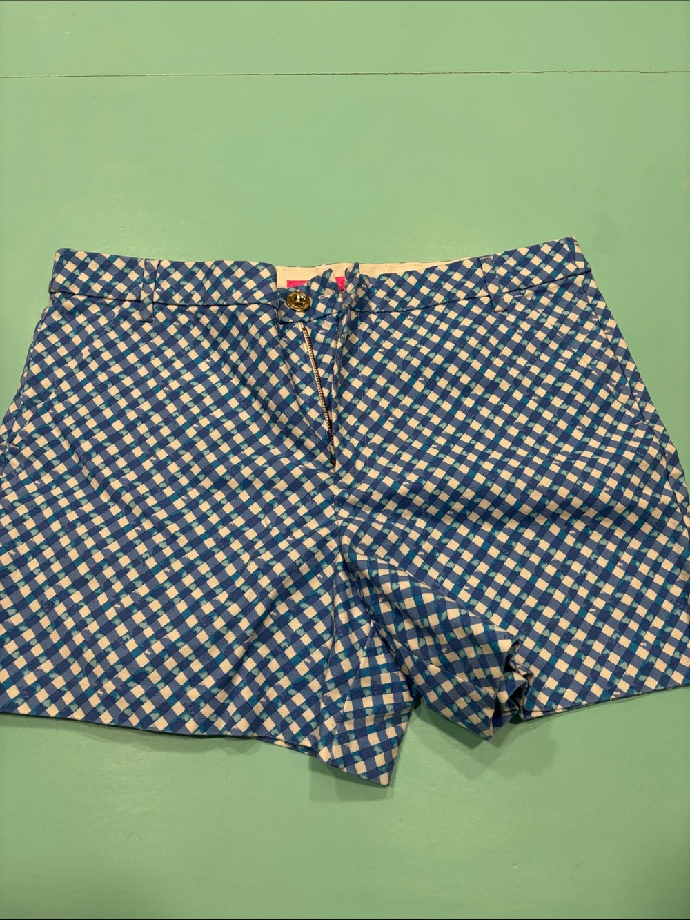 Lilly Pulitzer Blue and White Gingham High Waist Women’s Shorts